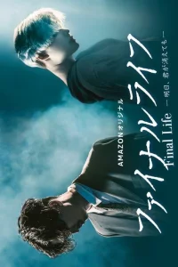 Финальная жизнь