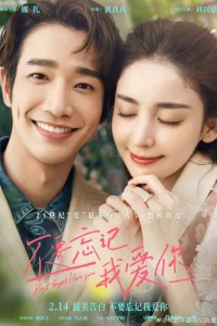 Не забывай, что я тебя люблю