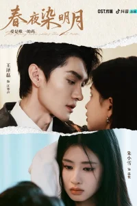 Глядя на яркую луну на ночном небе