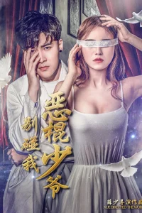 Президент и служанка