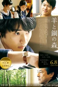 Лес из шерсти и стали